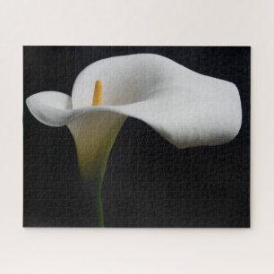 Flowers   White Calla Lily Jigsaw Puzzle