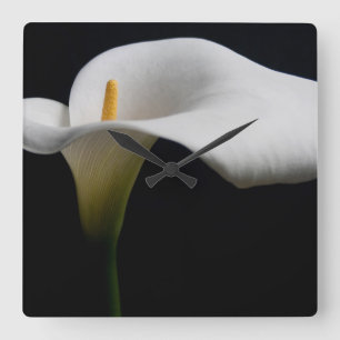 Flowers   White Calla Lily Square Wall Clock