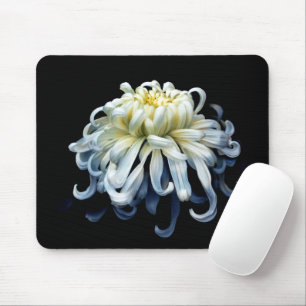 Flowers   White Chrysanthemum Mouse Mat