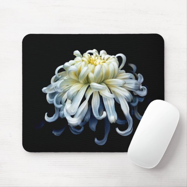 Flowers | White Chrysanthemum Mouse Mat (With Mouse)