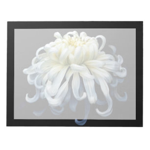 Flowers   White Chrysanthemum Notepad