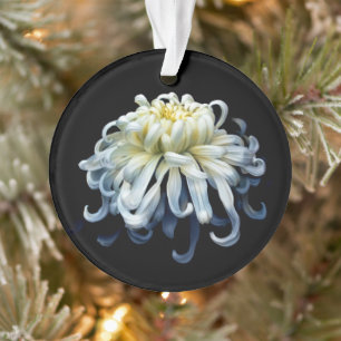 Flowers White Chrysanthemum Ornament
