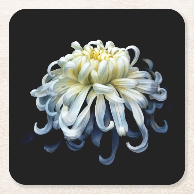 Flowers | White Chrysanthemum Square Paper Coaster (Front)