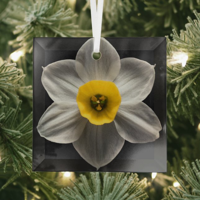 Flowers | White Daffodil Flower Glass Tree Decoration (Insitu)