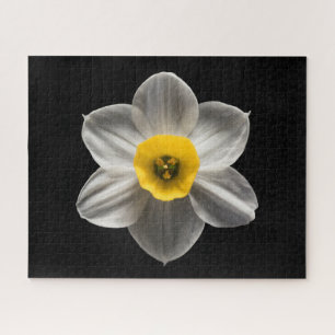 Flowers White Daffodil Flower Jigsaw Puzzle