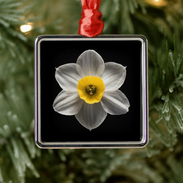 Flowers | White Daffodil Flower Metal Tree Decoration (Tree)