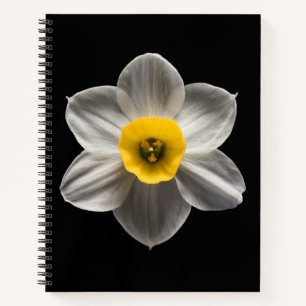 Flowers White Daffodil Flower Notebook