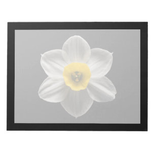 Flowers White Daffodil Flower Notepad