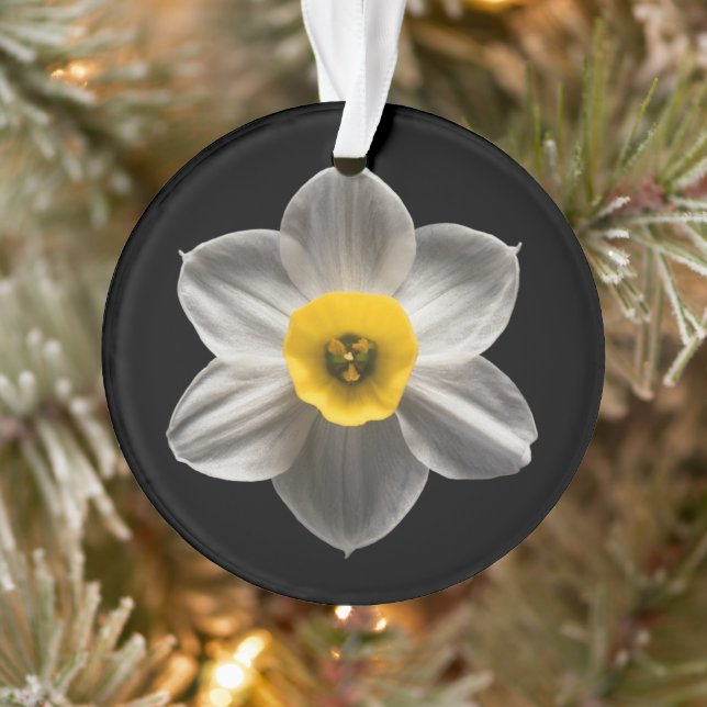 Flowers | White Daffodil Flower Ornament (Tree)