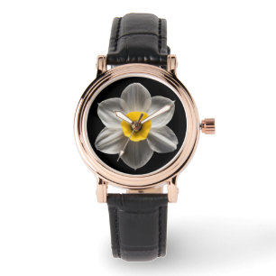 Flowers   White Daffodil Flower Watch