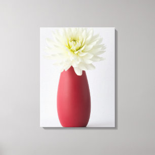 Flowers   White Dahlia in Red Vase Canvas Print