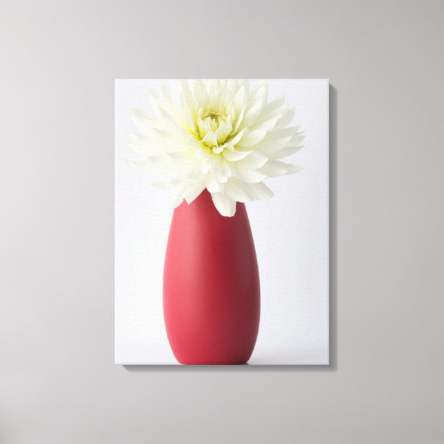 Flowers | White Dahlia in Red Vase Canvas Print (Front)