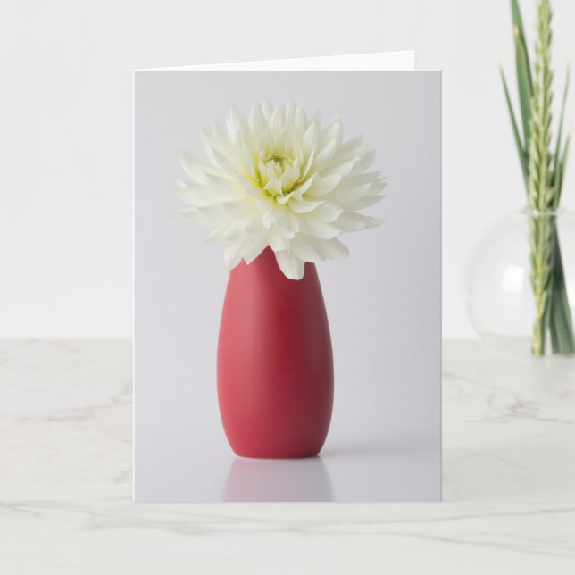 Flowers | White Dahlia in Red Vase Card (Front)