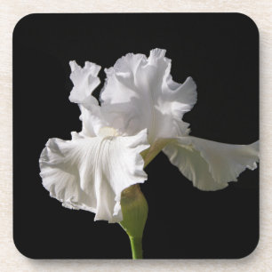 Flowers White Iris Coaster