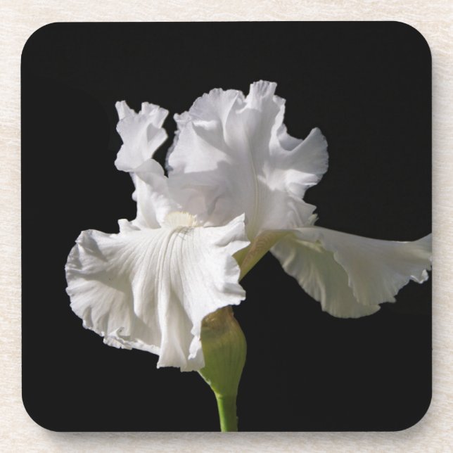 Flowers | White Iris Coaster (Front)
