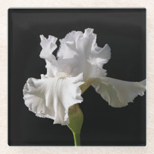 Flowers White Iris Glass Coaster