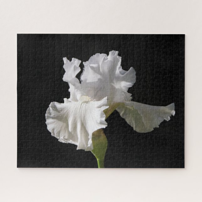 Flowers | White Iris Jigsaw Puzzle (Horizontal)