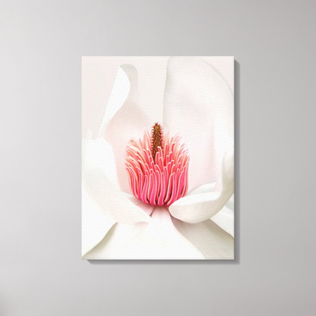 Flowers | White Magnolia Canvas Print (Front)