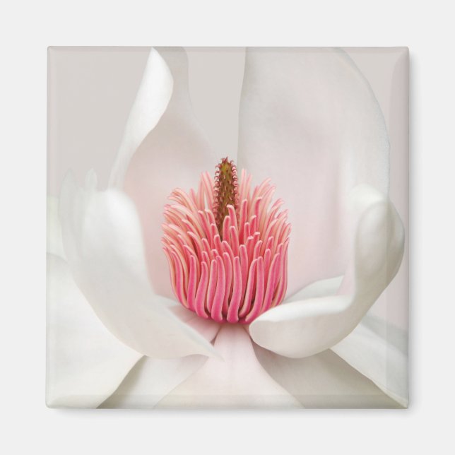 Flowers | White Magnolia Magnet (Front)