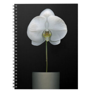 Flowers White Orchid Flower Notebook