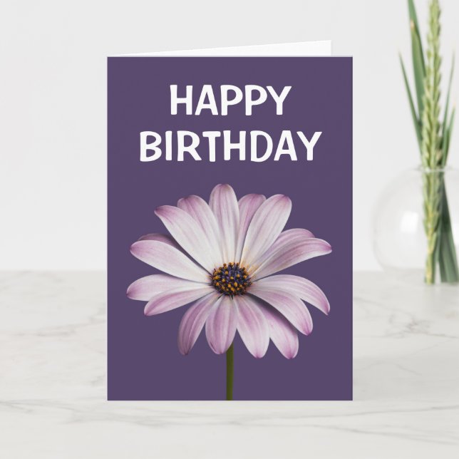 Flowers | White & Purple Daisy Card (Front)
