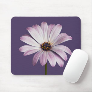 Flowers   White & Purple Daisy Mouse Mat