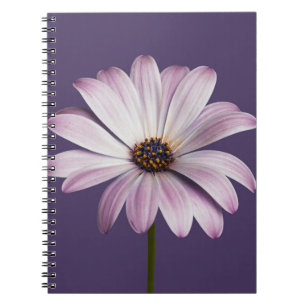 Flowers White & Purple Daisy Notebook