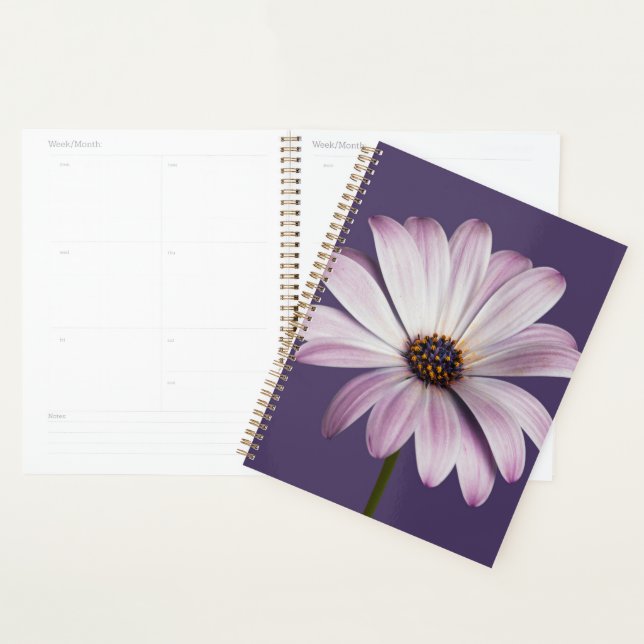 Flowers | White & Purple Daisy Planner (Display)