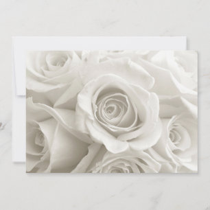 Flowers   White Roses Thank You Card