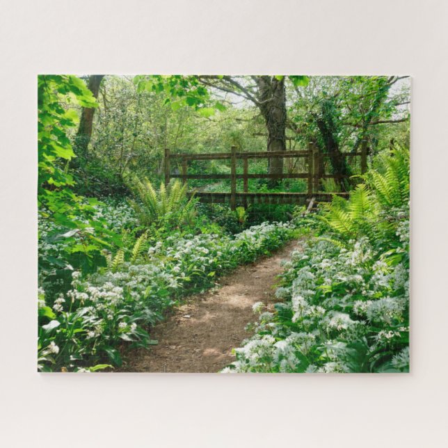 Flowers | White Wildflowers in Forest Jigsaw Puzzle (Horizontal)