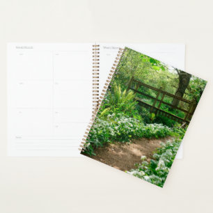 Flowers White Wildflowers in Forest Planner