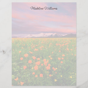 Flowers   Wildflower Field Snowcapped Mountains