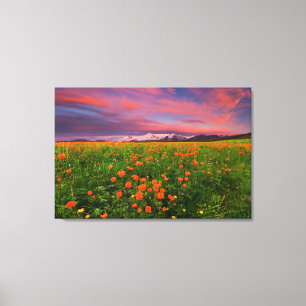 Flowers   Wildflower Field Snowcapped Mountains Canvas Print