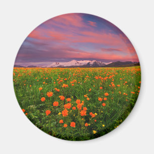 Flowers Wildflower Field Snowcapped Mountains Magnet