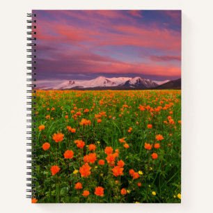 Flowers Wildflower Field Snowcapped Mountains Notebook
