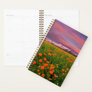 Flowers Wildflower Field Snowcapped Mountains Planner