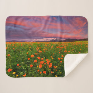 Flowers   Wildflower Field Snowcapped Mountains Sherpa Blanket