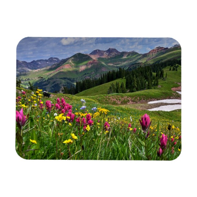Flowers | Wildflowers Durango, Colorado Magnet (Horizontal)