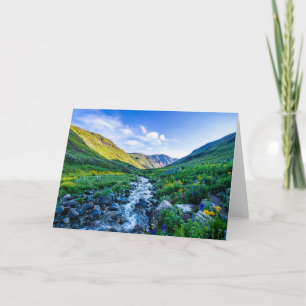 Flowers   Wildflowers in Colorado Card