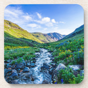 Flowers Wildflowers in Colorado Coaster