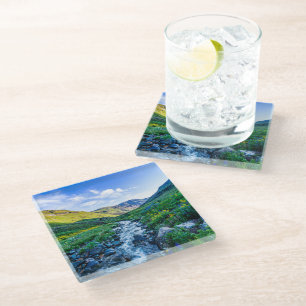 Flowers Wildflowers in Colorado Glass Coaster