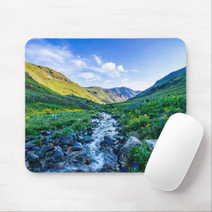 Flowers Wildflowers in Colorado Mouse Mat