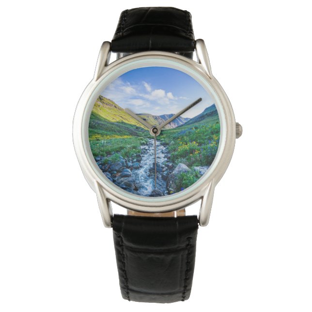 Flowers | Wildflowers in Colorado Watch (Front)