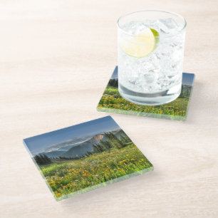 Flowers   Wildflowers Silverton Colorado Glass Coaster
