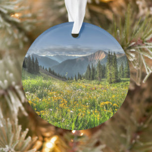 Flowers   Wildflowers Silverton Colorado Ornament