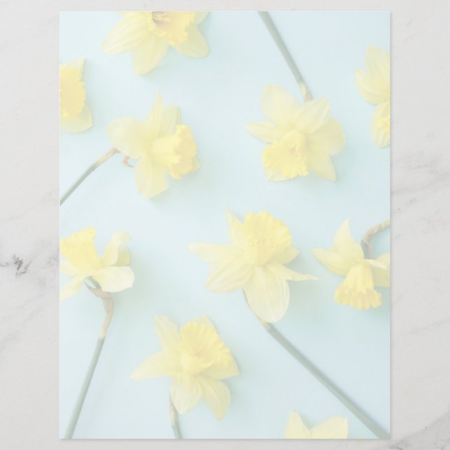 Flowers | Yellow Daffodils (Front)