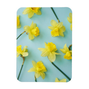 Flowers   Yellow Daffodils Magnet