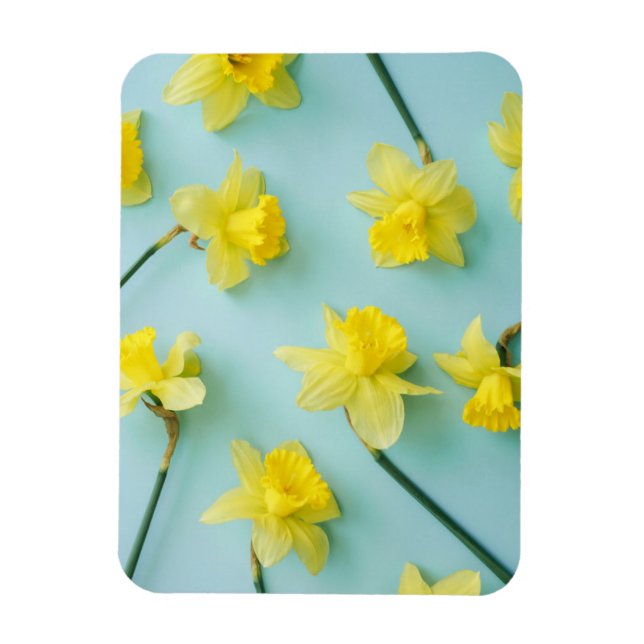 Flowers | Yellow Daffodils Magnet (Vertical)