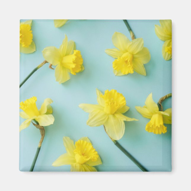 Flowers | Yellow Daffodils Magnet (Front)