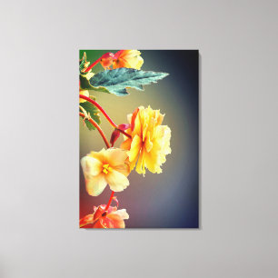 Flowers, Yellow flowers, Petals Canvas Print